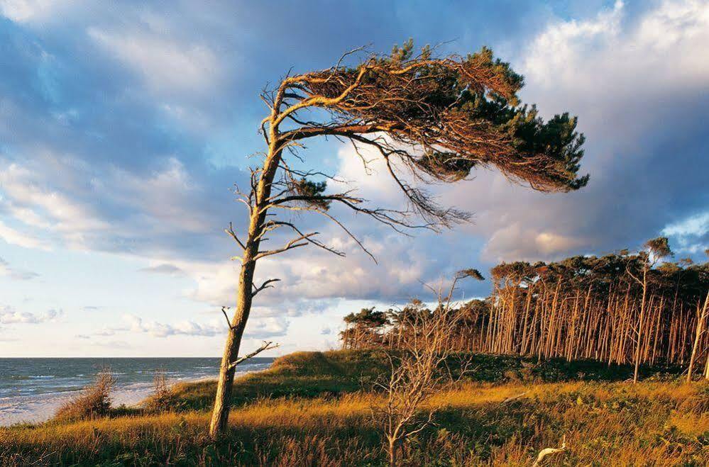 Ferienwohnungen Duenenmeer เดียร์ฮาเกิน ภายนอก รูปภาพ