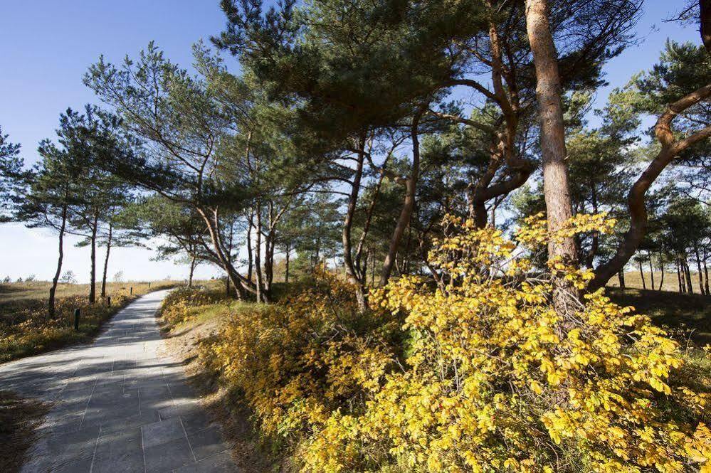 Ferienwohnungen Duenenmeer เดียร์ฮาเกิน ภายนอก รูปภาพ